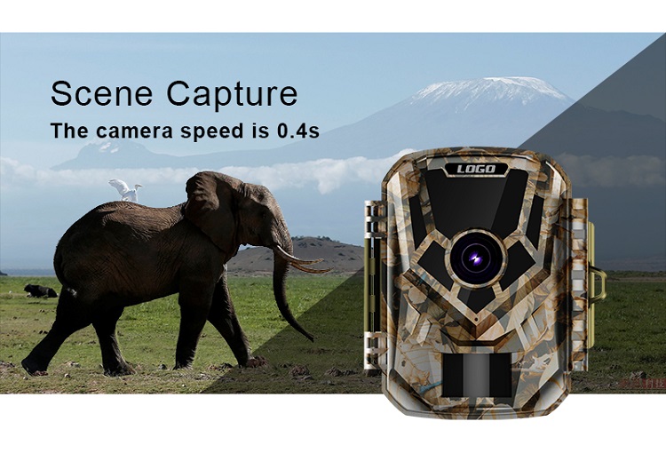 Multifunctional Hunting Camera with Waterproof Animal Detection Camera